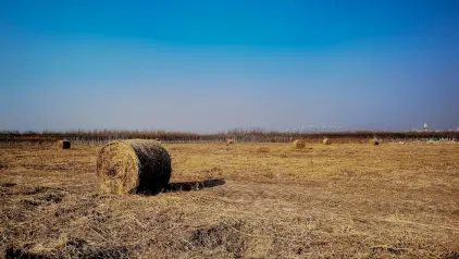 Winzinator Casino Mobil App